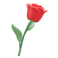 Damascus Rose
